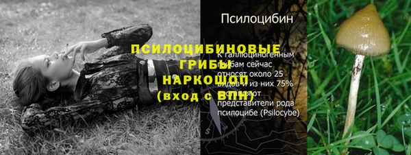 прущий лед Осташков
