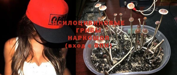 прущий лед Осташков