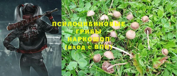 прущий лед Осташков