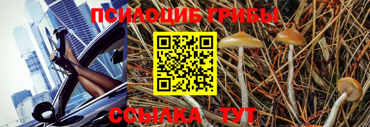 Галлюциногенные грибы прущие грибы Ялуторовск