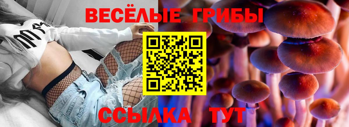 Галлюциногенные грибы мицелий  Вход с VPN  Ялуторовск 
